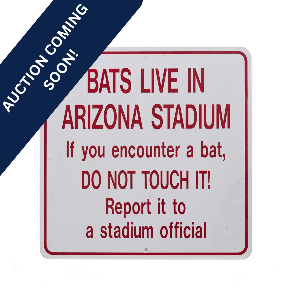 Bat Warning Sign