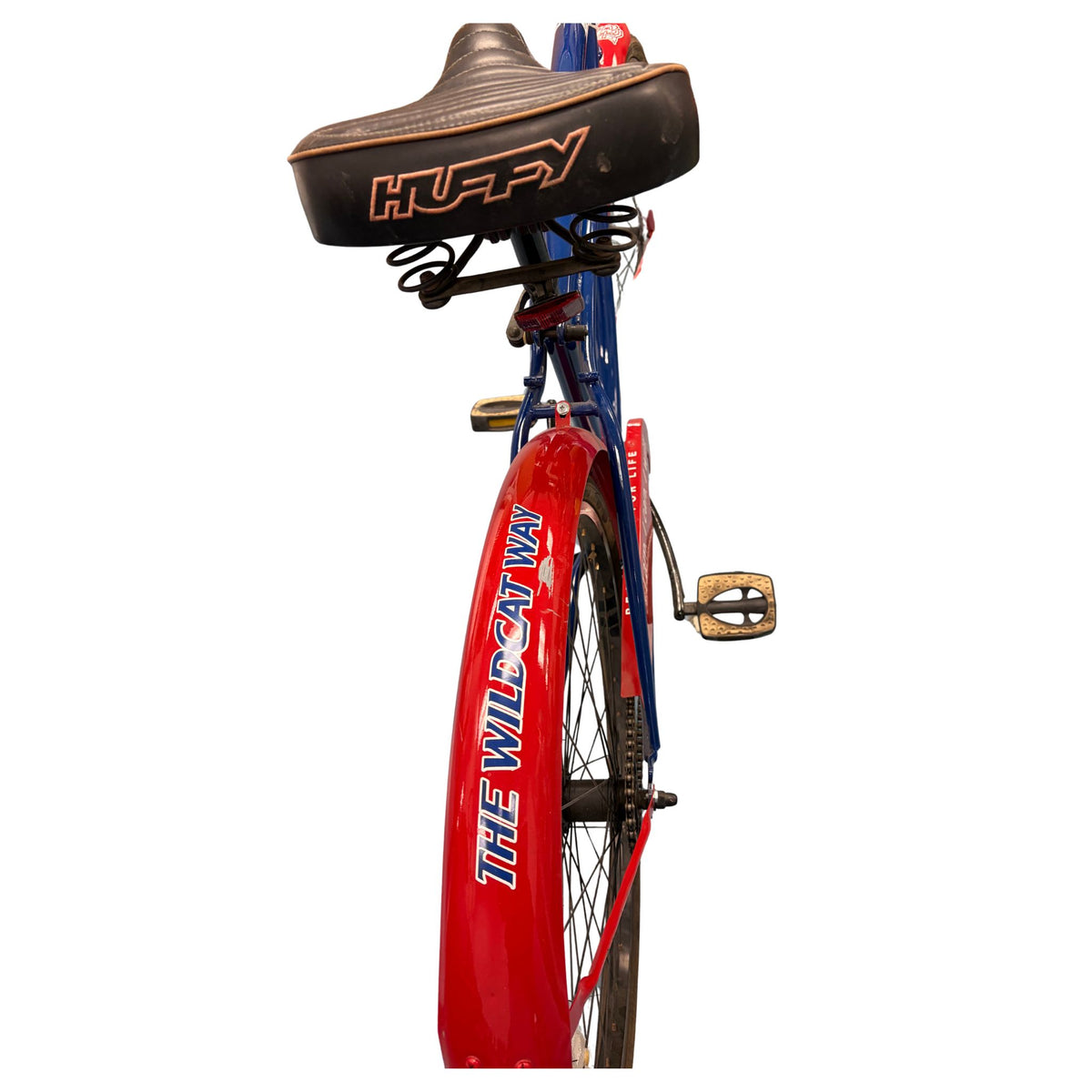 Arizona Bear Down Bike