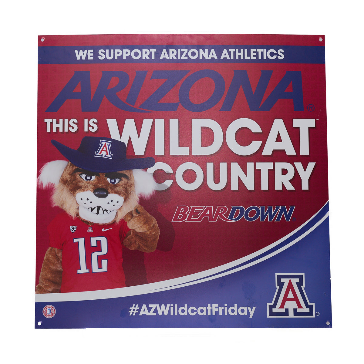 Arizona Wildcat Country Sign
