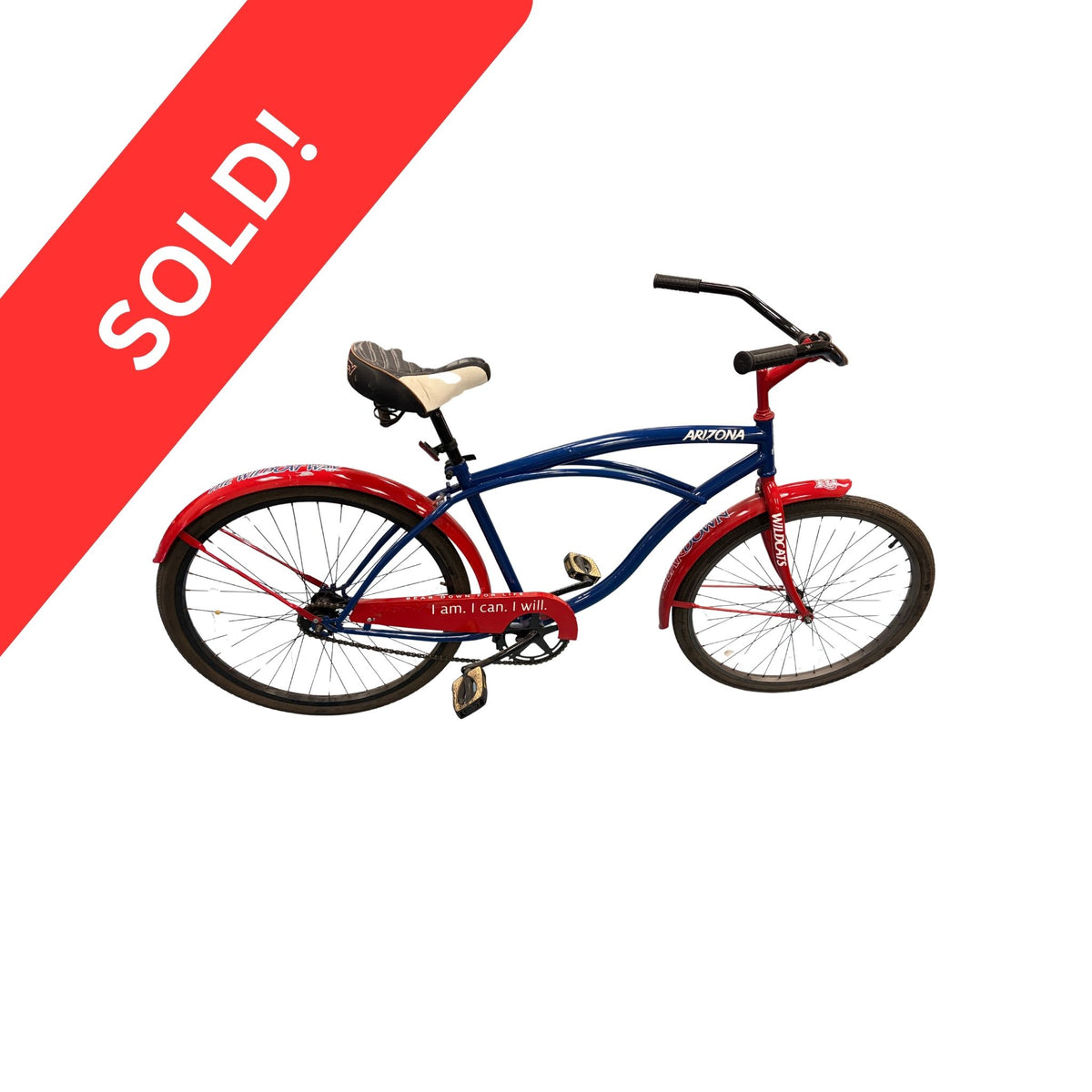 Arizona Bear Down Bike